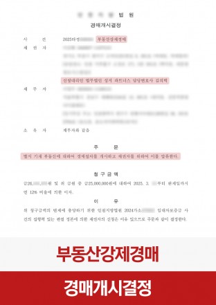 부동산경매, 강제집행, 채권추심, 민사소송, 채권자대리